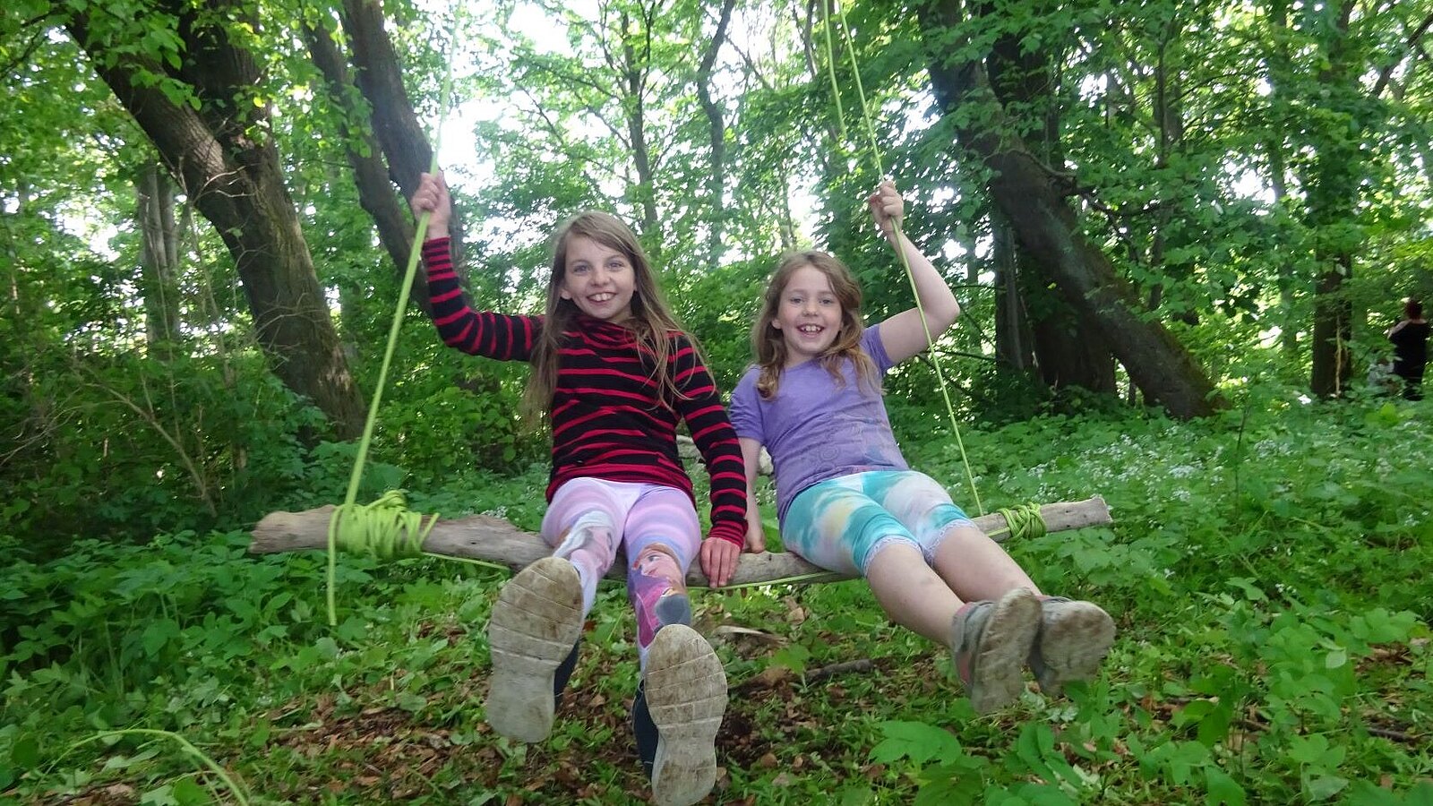 Erlebnistag im Wald